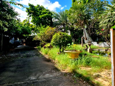 ที่ดิน ถนนศรีจันทร์ ขอนแก่น : ขายที่ดินพร้อมสิ่งปลูกสร้างใจกลางเมืองขอนแก่นขนาด 2-0-21.3 ไร่ ทำเลทอง ติดถนนศรีจันทร์ ใกล้ Central ขอนแก่น