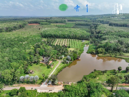 รูป ขายด่วน รีสอร์ทส่วนตัว พร้อมสวนทุเรียนและมังคุด จ.สุราษฏร์ธานี - รูปที่ 12/12