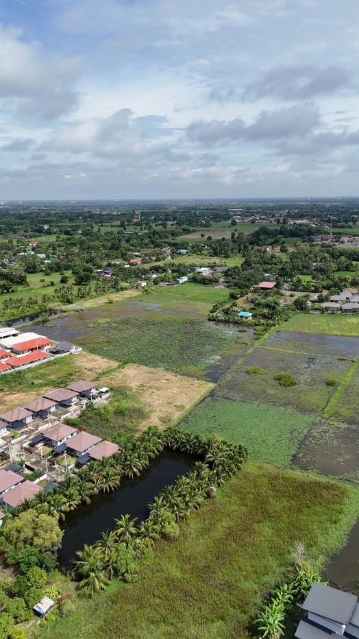 รูป ที่ดินฉะเชิงเทรา วังเย็น แปลงยาว - รูปที่ 4/5