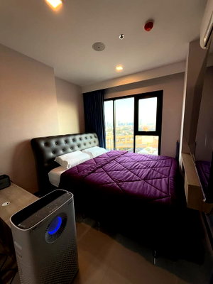 Condos for rent : MODIZ Sukhumvit                    50 