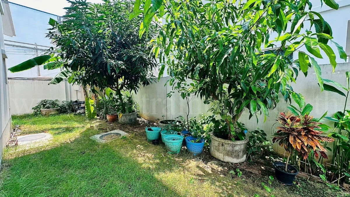 รูป บ้านเดี่ยว คณาสิริ ปิ่นเกล้า - กาญจนา บ้านสวย ถูกที่สุดในโครงการ - รูปที่ 17/17