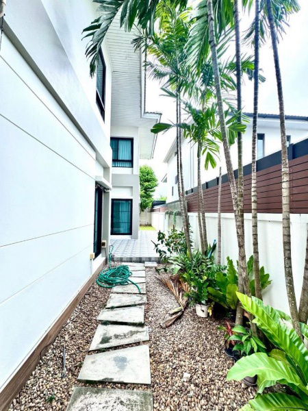 picture For Sale The Complete Sriracha - 15/21