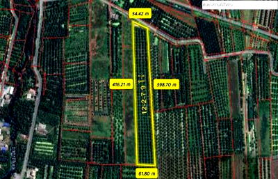 ที่ดิน นครศรีธรรมราช : ขายที่ดิน สวนมะพร้าว  12-2-7.9 ไร่ อ.ปากพนัง จ.นครศรีธรรมราช *เก็บผลผลิตได้เลย*