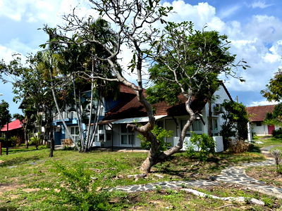 Twin houses for rent Mae Ram Phueng Beach : Nice Corner Home for Rent — Just 5 Minute walk from Mae Ramphueng Beach!