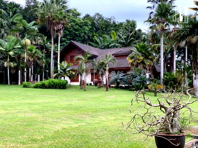 บ้านเดี่ยว สุราษฎร์ธานี : ขายด่วน รีสอร์ทส่วนตัว พร้อมสวนทุเรียนและมังคุด จ.สุราษฏร์ธานี