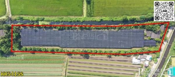 รูป ซื้อทำกำไร + สร้างมูลค่าเพิ่มได้มากกว่าเท่าตัว กับที่ 6 ไร่เศษ ใกล้โครงการถนนตัดใหม่กัลปพฤกษ์ – พุทธสาคร - KK5415S - รูปที่ 3/6