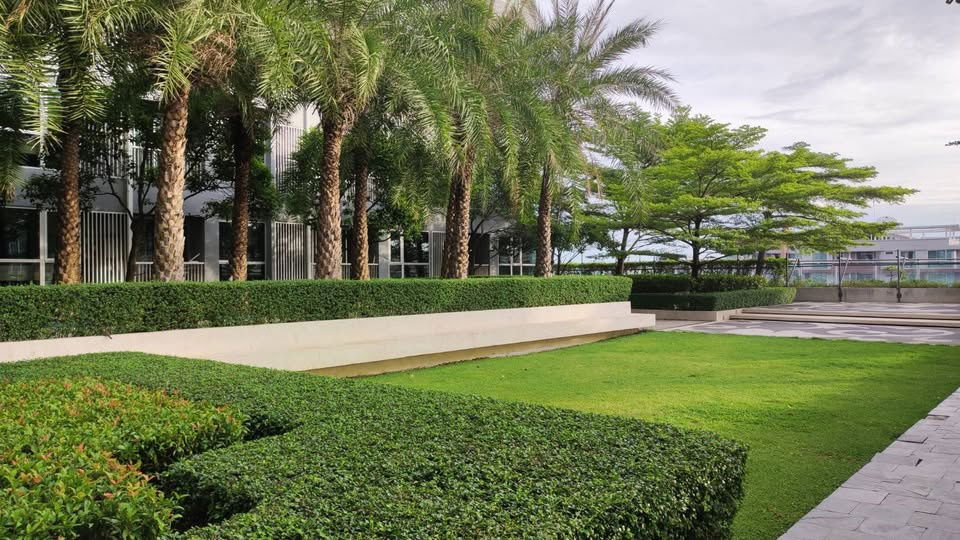 รูป ให้เช่า Rhythm Sukhumvit 50 | 1 ห้องนอน ใกล้ BTS อ่อนนุช เพียง 18,000 บาท/เดือน - รูปที่ 13/14