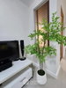 listing thumbnail image 5