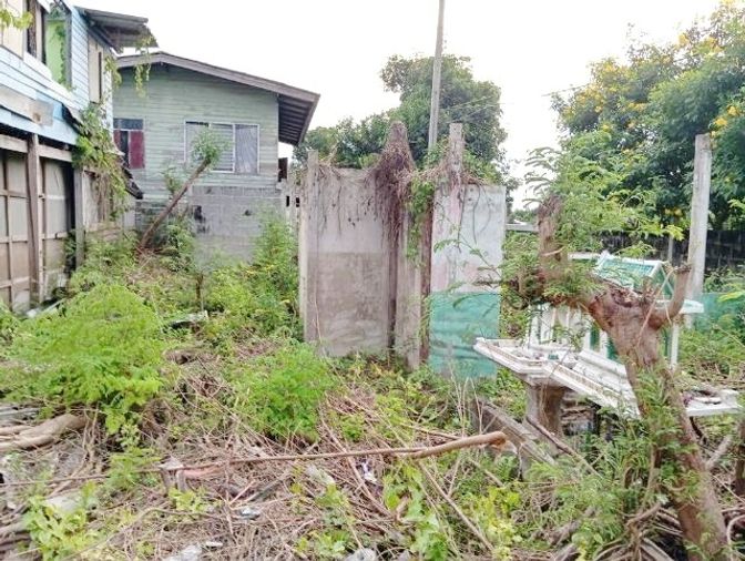 ให้เช่าบ้านเดี่ยว 2 ห้องนอน 252 ตร.ม. 63 ตร.ว. เขตทวีวัฒนา