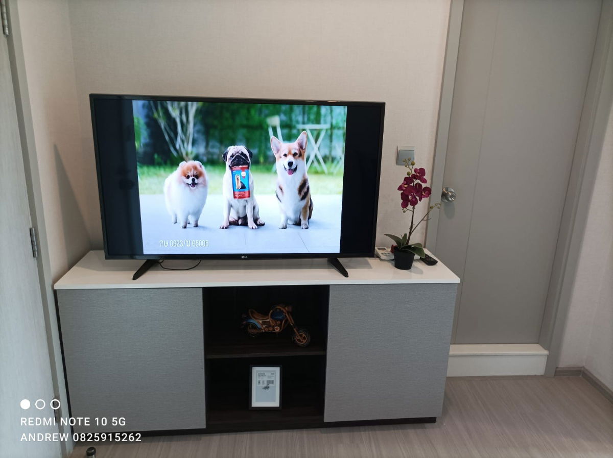 picture Life Sukhumvit 62, for Rent 1 Bedroom, 30 sqm, 18th floor, room with beautiful view, 300 meters to BTS Bang Chak station - 5/19