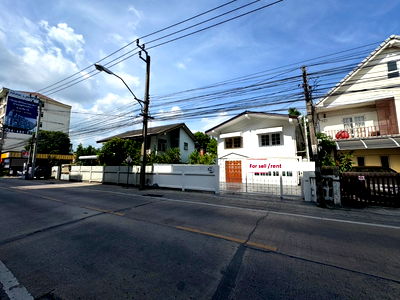 Houses for rent Sukhumvit Road : House for rent Single house Sukhumvit 105