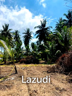 Land for sale Ko Samui Surat Thani : Hot Priced Flat Land 500m to the Beach in Hua Thanon