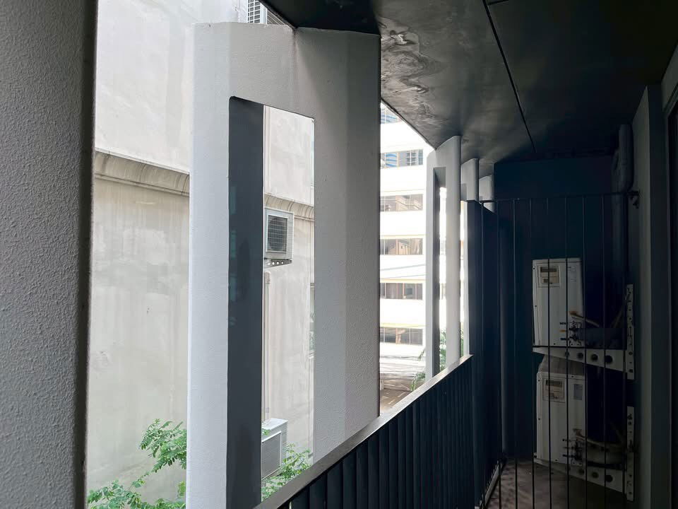 picture Siamese Gioia - 7/7