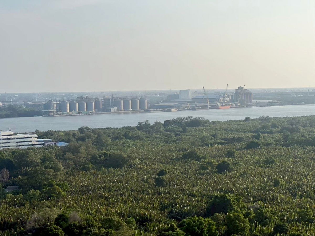 รูป ให้เช่าคอนโดเดอะทรัสต์ BTS เอราวัณ ติดรถไฟฟ้า 0 เมตร - รูปที่ 5/5