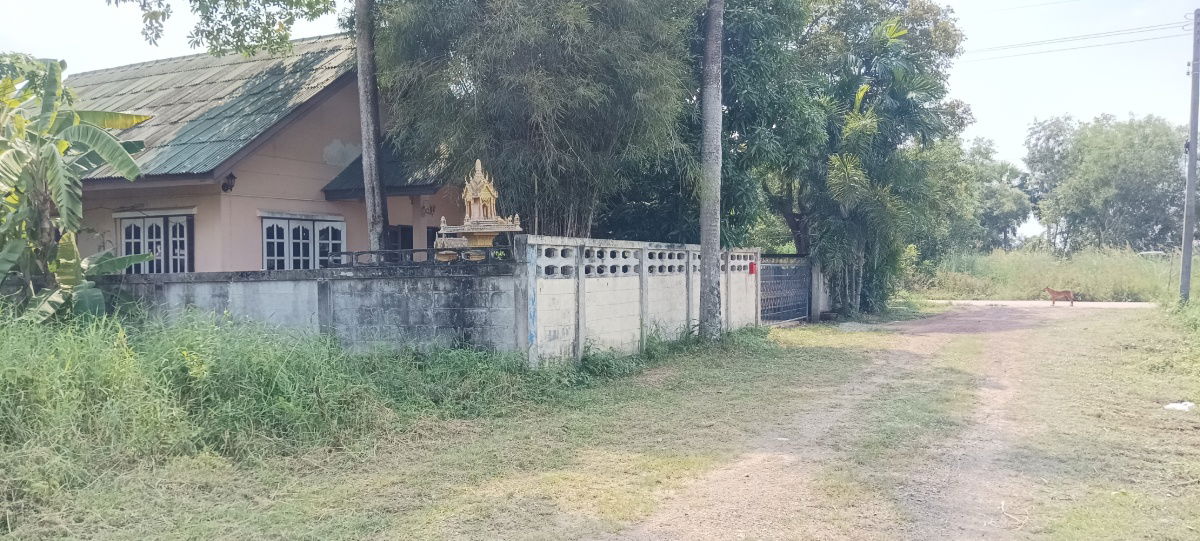 รูป ขายบ้าน1ชั้น ติดถนนคอนกรีต ... - รูปที่ 3/13