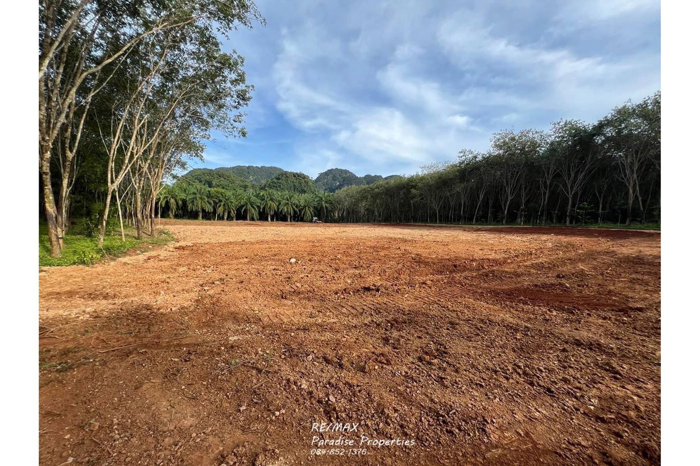 รูป [920281015-697] Mountain View Land for Sale - รูปที่ 12/13
