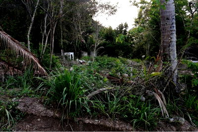 ที่ดิน เกาะพะงัน สุราษฎร์ธานี : [920621004-67] ที่ดินเกาะพะงัน วิวทะเล ภูเขา วิวลงทุน