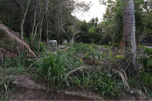 [920621004-67] "Own a Slice of Koh Pha Ngan Paradise Today!"