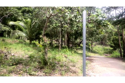 ที่ดิน เกาะพะงัน สุราษฎร์ธานี : [920621004-65] "ที่ดินแปลงใหม่: วิวธรรมชาติในเกาะพะงัน"