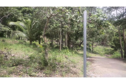 [920621004-65] "Serene 9,600 sqm Land in Koh Pha Ngan for Sale"