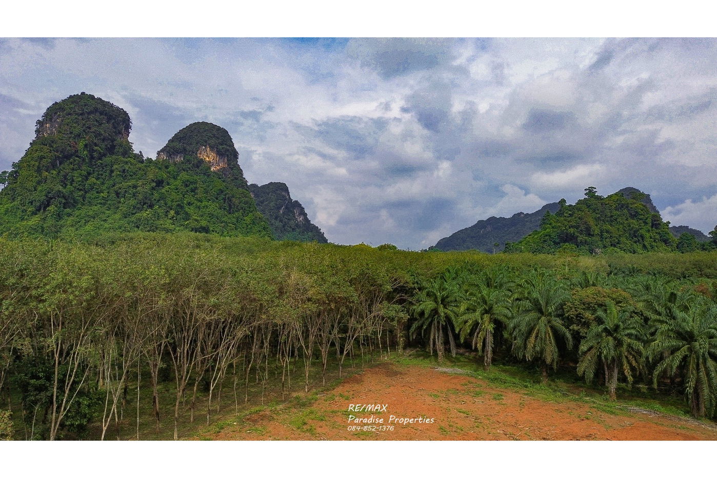 รูป [920281015-697] Mountain View Land for Sale - รูปที่ 2/13