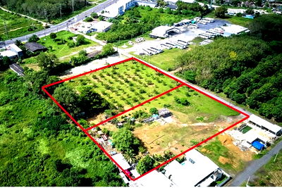 Land for sale Thalang Phuket : [920491002-17] 6 rai development ready land in central Paklok (10,000,000 per/rai)