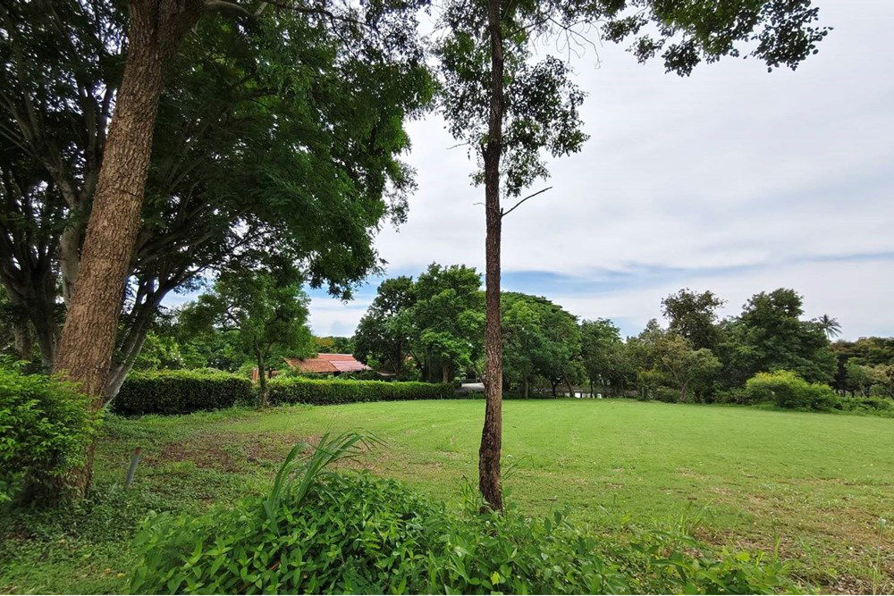 picture [920611001-346] Idyllic Bang Sare Land: Build Your Dream Home! - 7/22