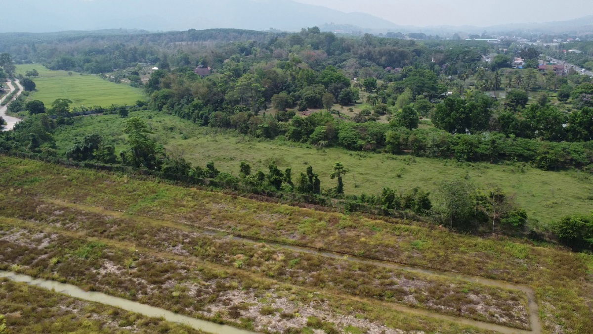 picture Land for sale near the university, on the main road, 15 rai, 15 rai (9+6), 3 ngan, 36.6 sq m, width 77 m. - 4/5