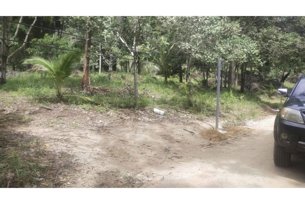 รูป [920621004-65] &quot;ที่ดินแปลงใหม่: วิวธรรมชาติในเกาะพะงัน&quot; - รูปที่ 9/9