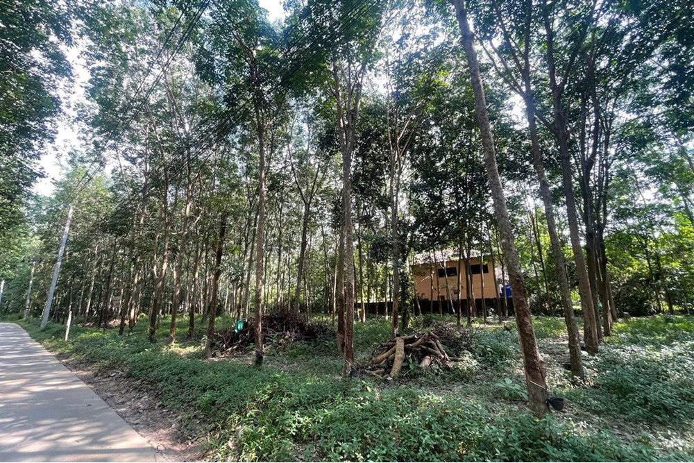 รูป [920121068-47] Land for lease near Greenacre International School in Na Mueang - รูปที่ 6/13