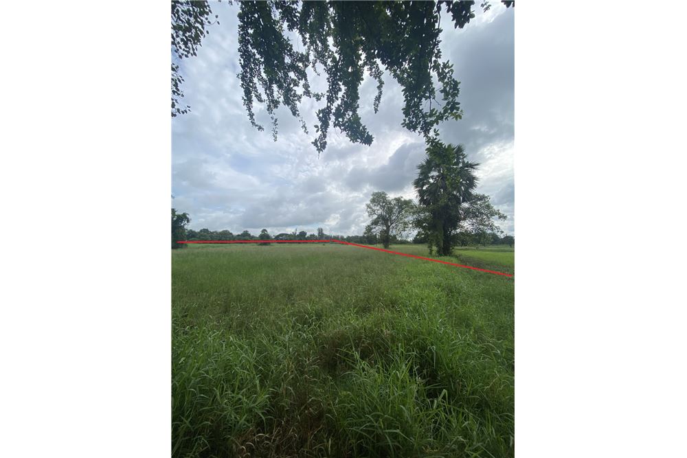 รูป [920461002-259] ขายที่ดิน อ.พิมาย จ.โคราช P-NE-NS001 - รูปที่ 1/9