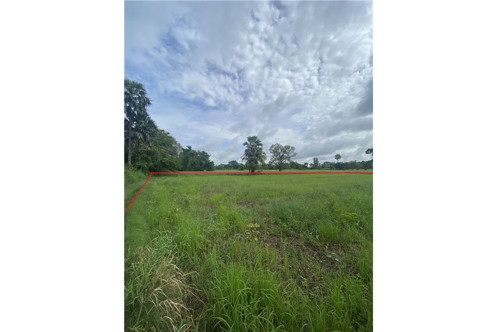 รูป [920461002-259] ขายที่ดิน อ.พิมาย จ.โคราช P-NE-NS001 - รูปที่ 4/9