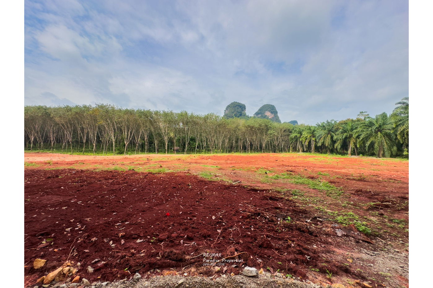 รูป [920281015-697] Mountain View Land for Sale - รูปที่ 10/13