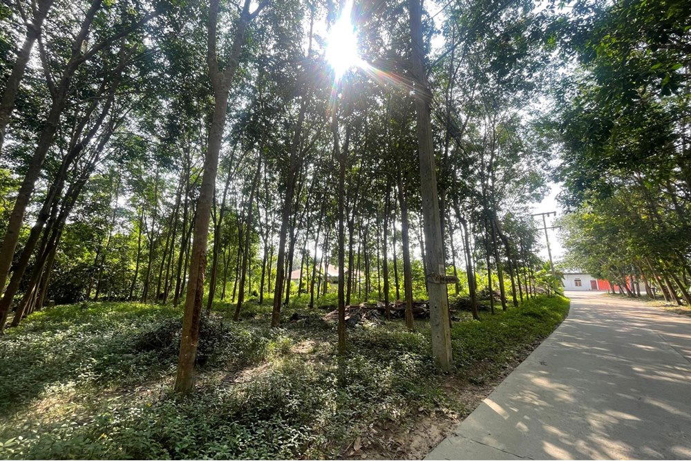 รูป [920121068-47] Land for lease near Greenacre International School in Na Mueang - รูปที่ 7/13