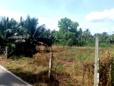 ที่ดิน วิทยาลัยการอาชีพอัมพวา : ที่ดินอัมพวา ที่ดินสมุทรสงคราม ที่ดินปลายโพงพาง 2 ไร่กว่า เข้าจากถนนใหญ่ถนนปากท่อสายเก่าเพียง 850 เมตร