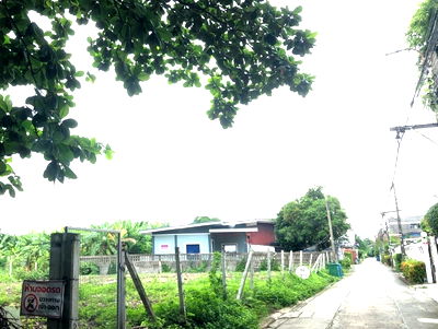 ที่ดิน ถนนสุขาภิบาล 5 : ที่ดินรามอินทรา ซอย 14 ที่ดินบางเขน ที่ดินซอยมัยลาภ 179 วา  เข้าจากถนนใหญ่เพียง 400 เมตร ใกล้สถานีรถไฟฟ้าสายสีชมพูสถานีมัยลาภ 