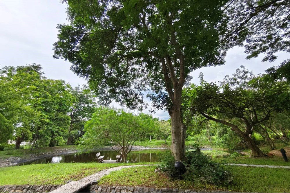 picture [920611001-346] Idyllic Bang Sare Land: Build Your Dream Home! - 2/22