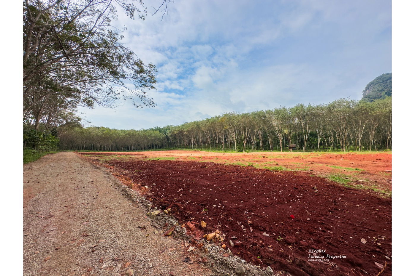 รูป [920281015-697] Mountain View Land for Sale - รูปที่ 11/13