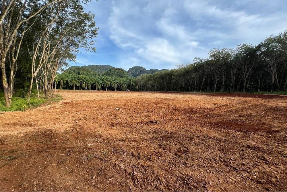 รูป [920281015-697] Mountain View Land for Sale - รูปที่ 5/13