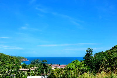 ที่ดิน เกาะพะงัน สุราษฎร์ธานี : [920621004-62] "ลงทุนที่ดินทำเลทอง เกาะพะงัน วิวทะเล"