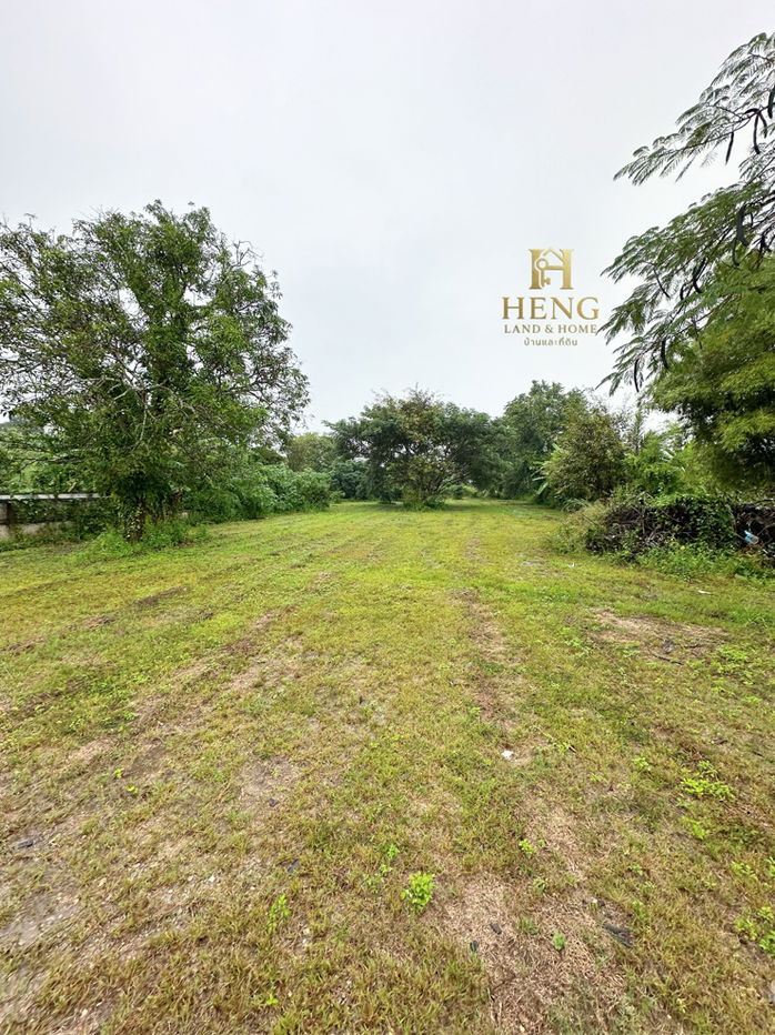 รูป ที่ดิน 2-3-68 ไร่ อ.แม่สรวย จ.เชียงราย ติดถนนหลวง เติบโตต่อเนื่อง - รูปที่ 8/10