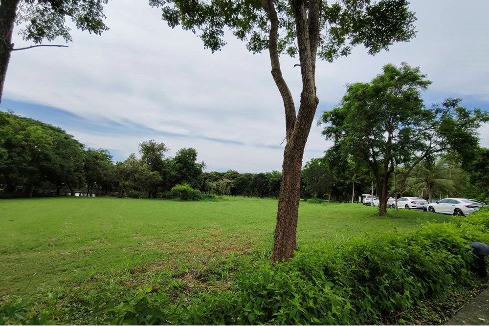 picture [920611001-346] Idyllic Bang Sare Land: Build Your Dream Home! - 8/22