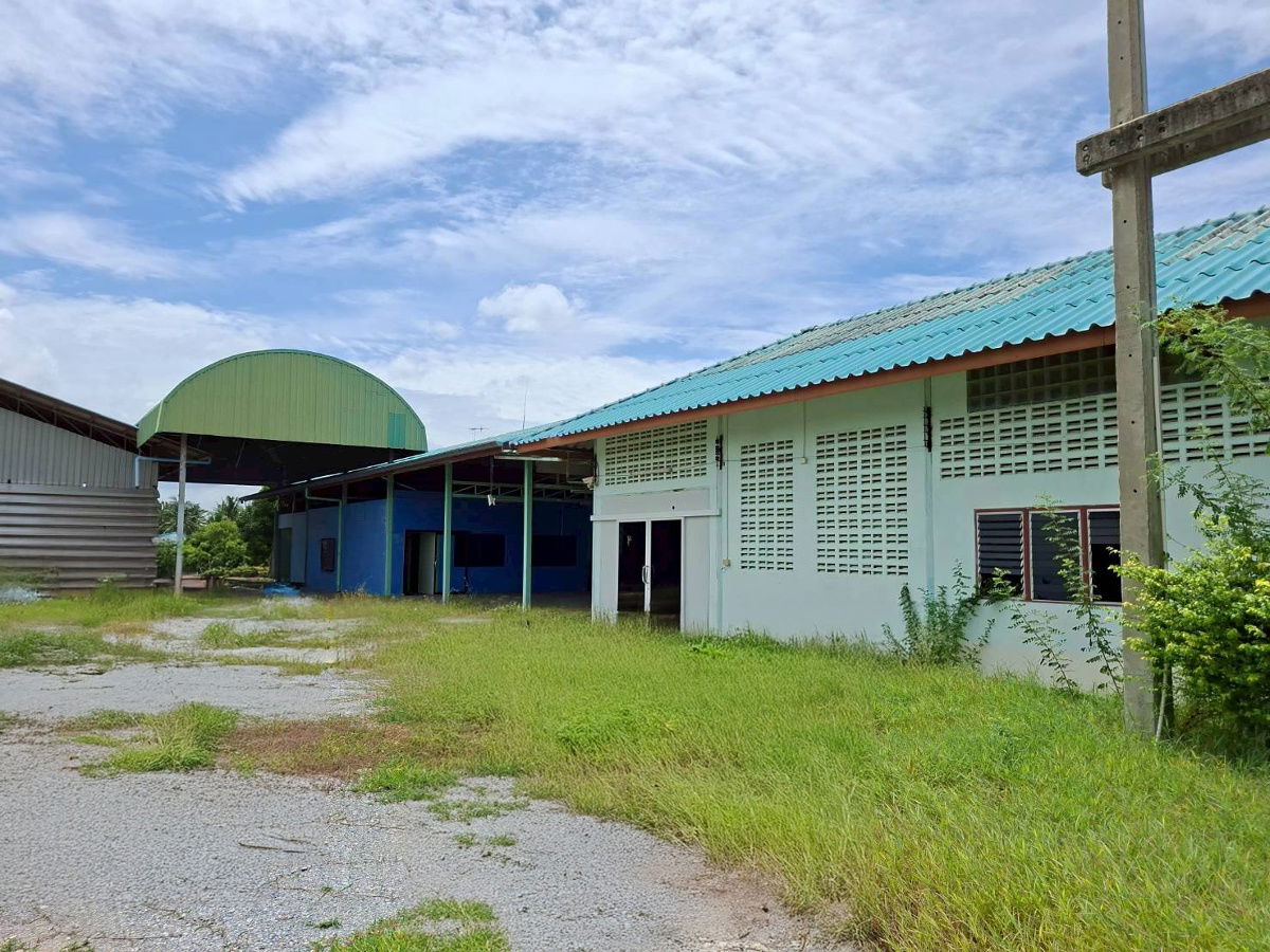 รูป JK 3949960 : นอกโครงการนครปฐม ม.9 - รูปที่ 3/10