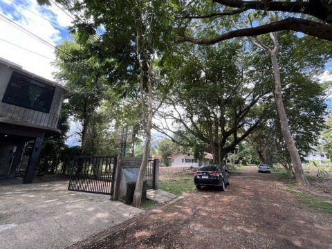 picture Land for sale, 5 rai with 3 houses, owner selling, Kalasin - 19/29