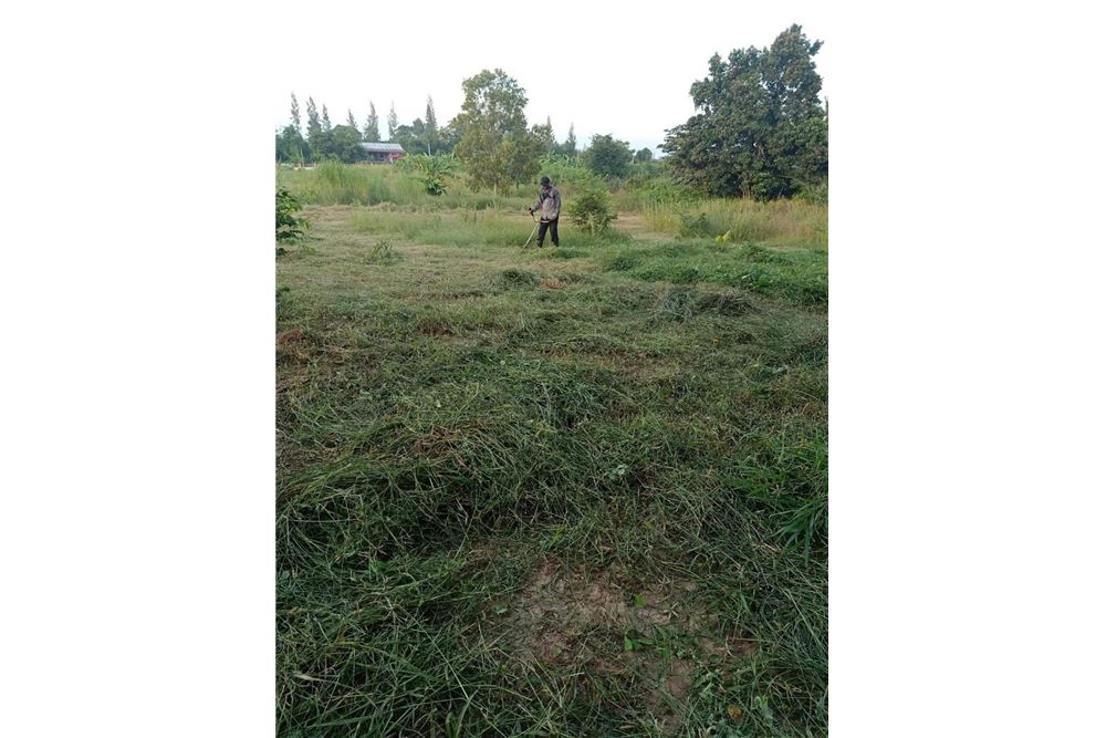 รูป [920071045-17] ขยายอนาคตคุณในหัวหินด้วยที่ดินทอง! - รูปที่ 8/8