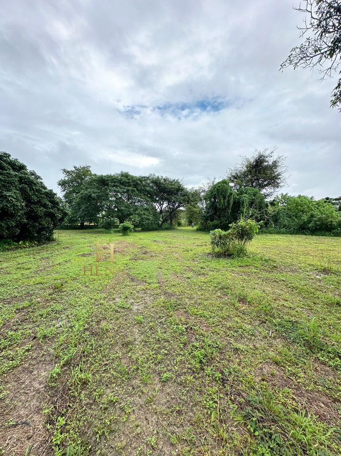 รูป ที่ดิน 2-3-68 ไร่ อ.แม่สรวย จ.เชียงราย ติดถนนหลวง เติบโตต่อเนื่อง - รูปที่ 4/10