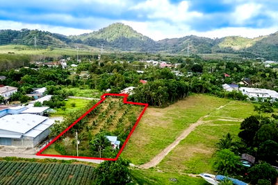 Land for sale Thalang Phuket : [920491002-19] Build Your Dream Home in Serene Phuket Oasis