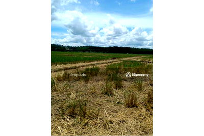 ที่ดิน เชียงราย : [920011006-9] ขายที่ดิน ติดถนน โฉนดครุฑแดง พร้อมโอน ใกล้สถานที่ท่องเที่ยว