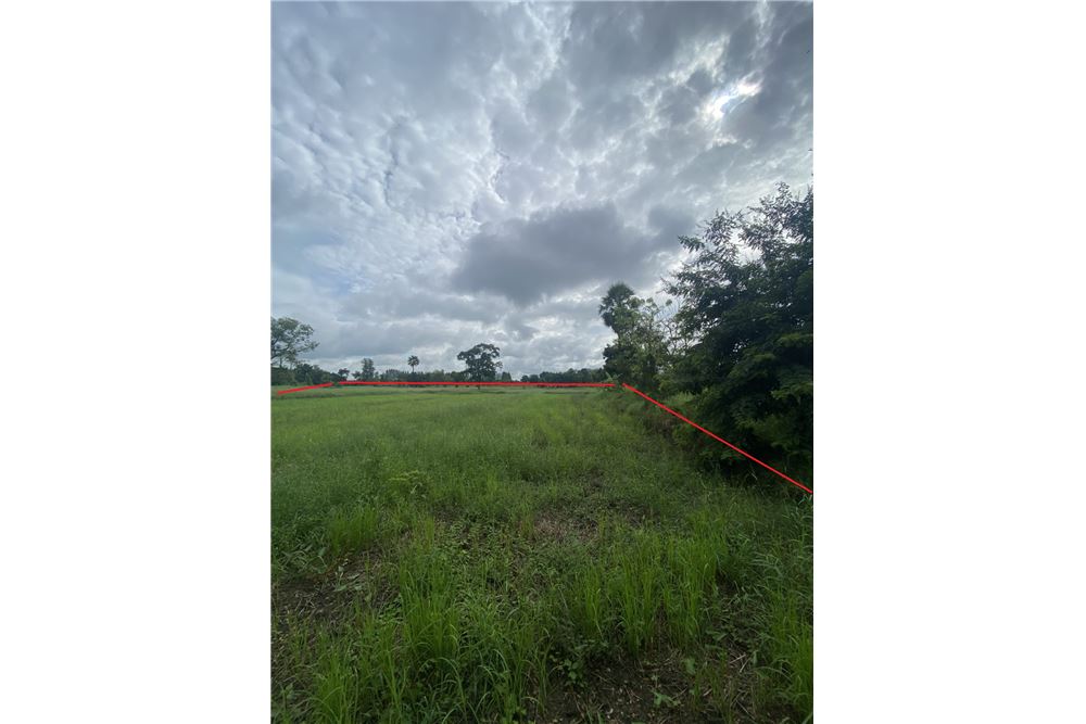 รูป [920461002-259] ขายที่ดิน อ.พิมาย จ.โคราช P-NE-NS001 - รูปที่ 5/9