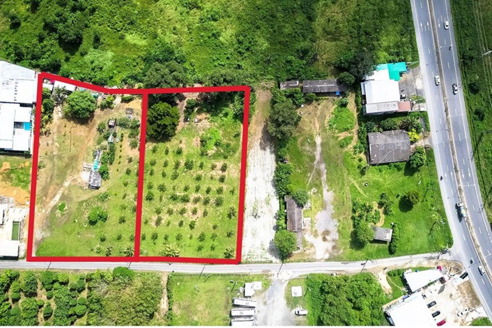 picture [920491002-17] 6 rai development ready land in central Paklok (10,000,000 per/rai) - 3/10